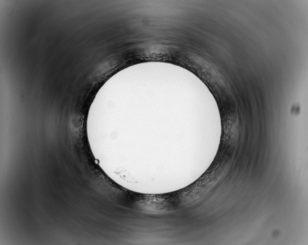 X0000103940278200810101423