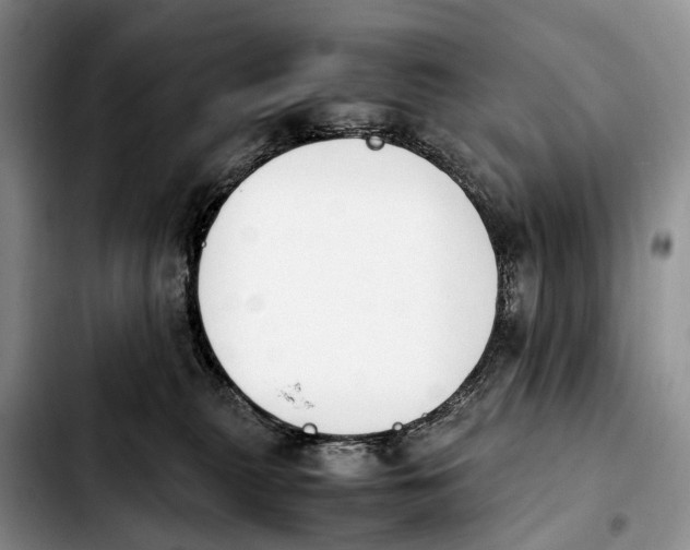 X0000103940279200810101423