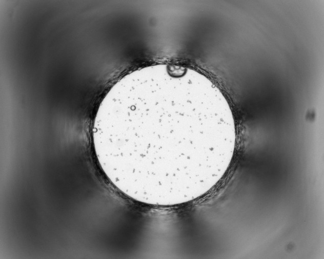 X0000103940280200810101423