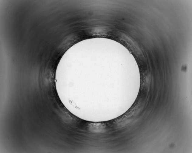 X0000103940281200810101423