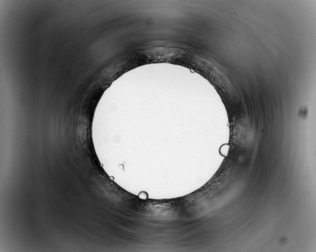 X0000103940283200810101423