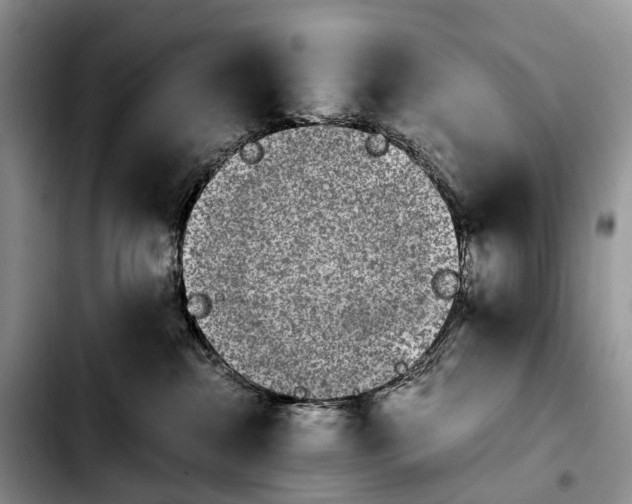 X0000103940284200810101423