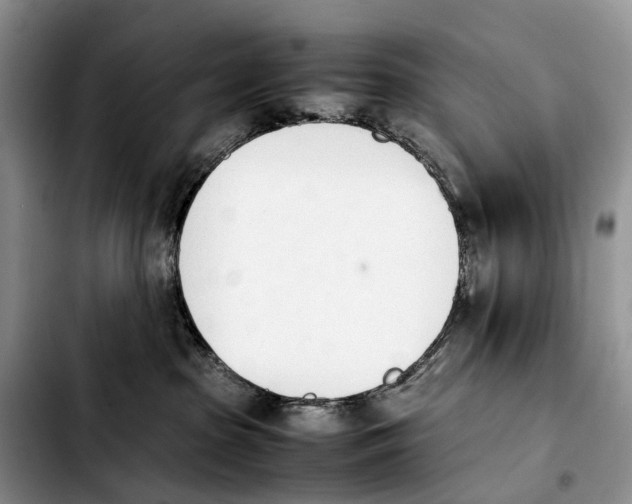 X0000103940285200810101423