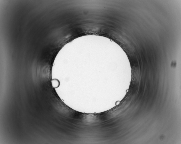 X0000103940287200810101423