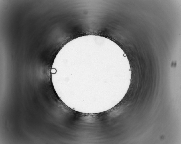 X0000103940288200810101423