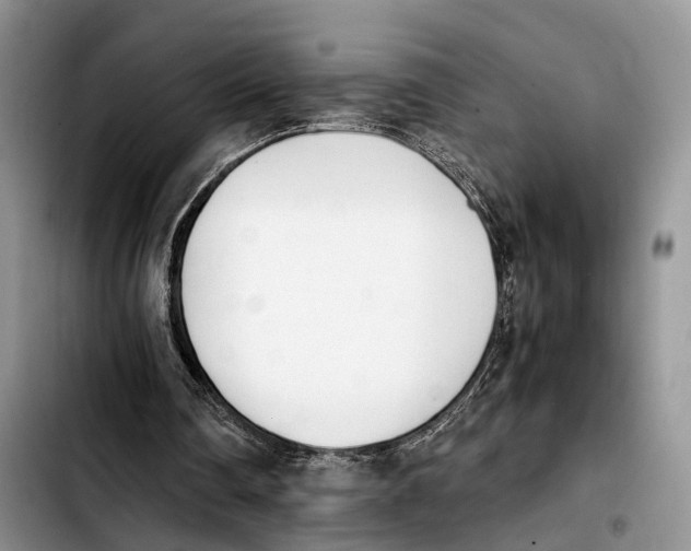 X0000103940290200810101422