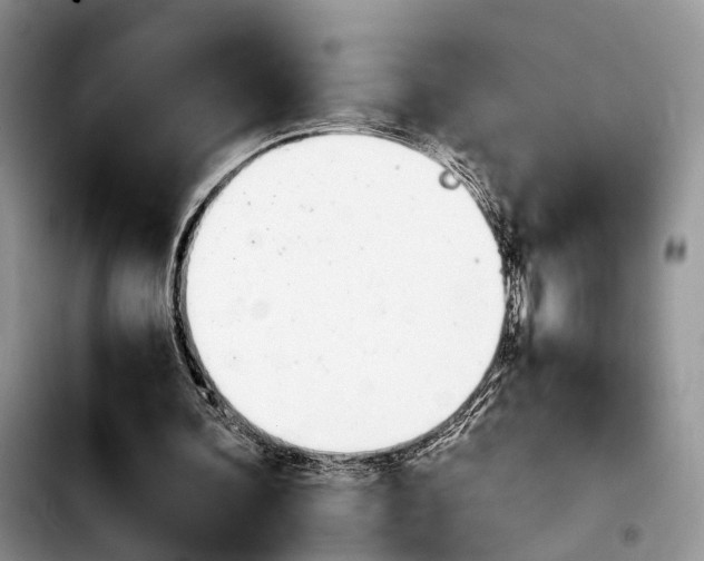 X0000103940292200810101422