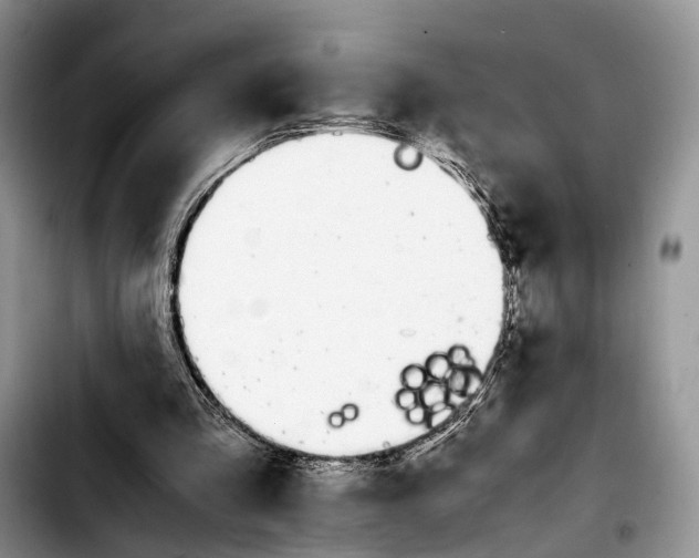 X0000103940293200810101422