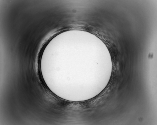 X0000103940294200810101422