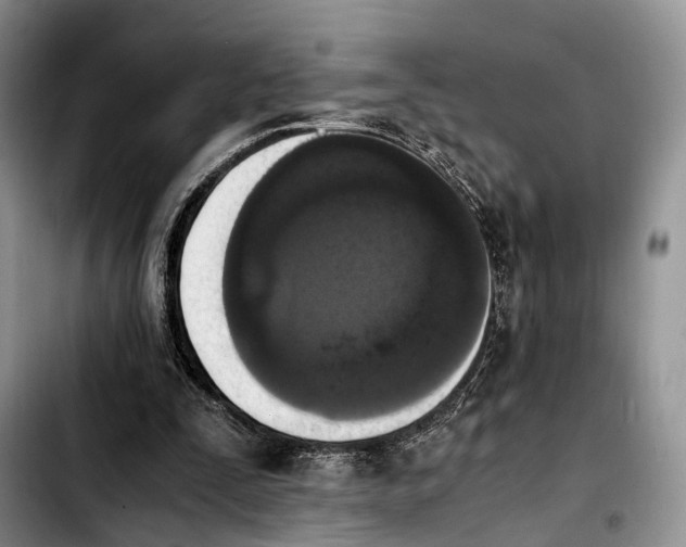 X0000103940295200810101422