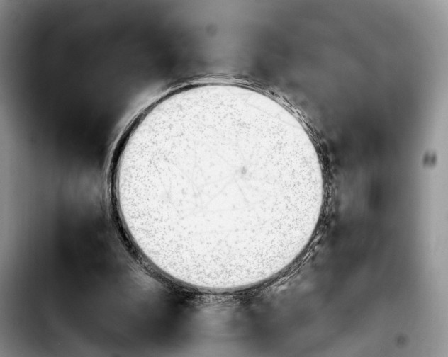 X0000103940296200810101422