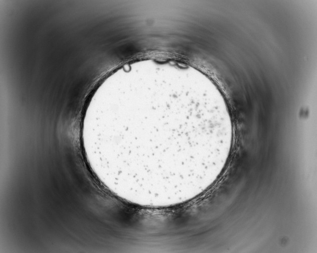 X0000103940297200810101422