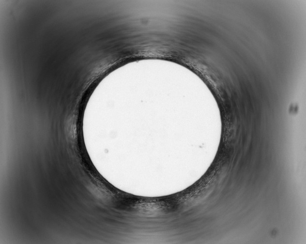 X0000103940299200810101422