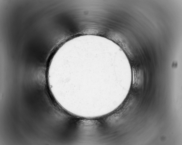 X0000103940300200810101422