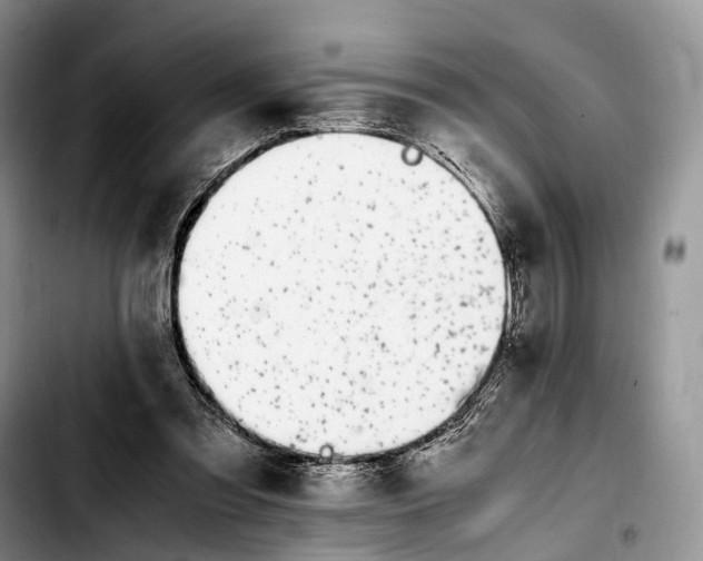 X0000103940301200810101422