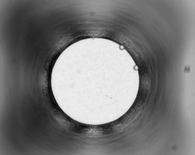 X0000103940303200810101422