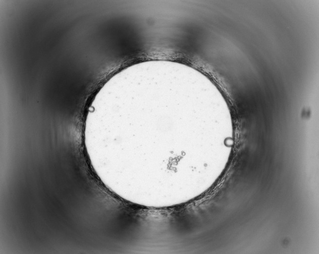 X0000103940305200810101422