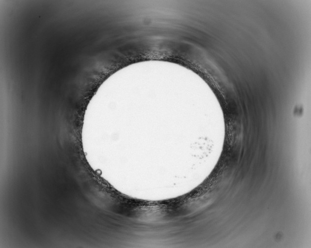 X0000103940307200810101422