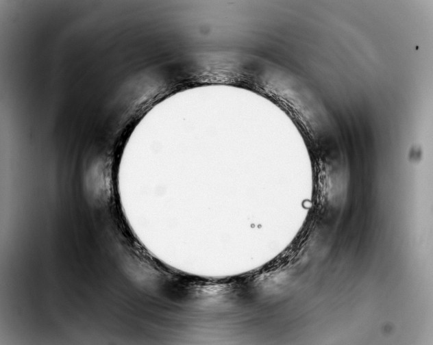 X0000103940312200810101422