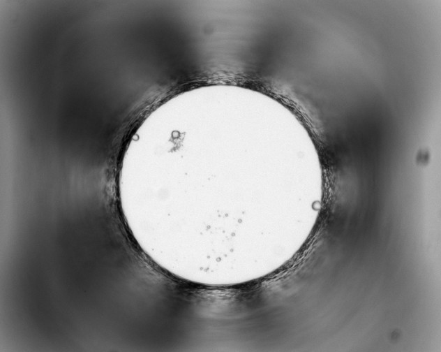 X0000103940313200810101422