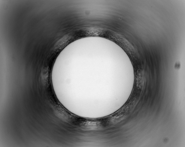 X0000103940314200810101422