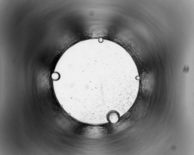 X0000103940316200810101422