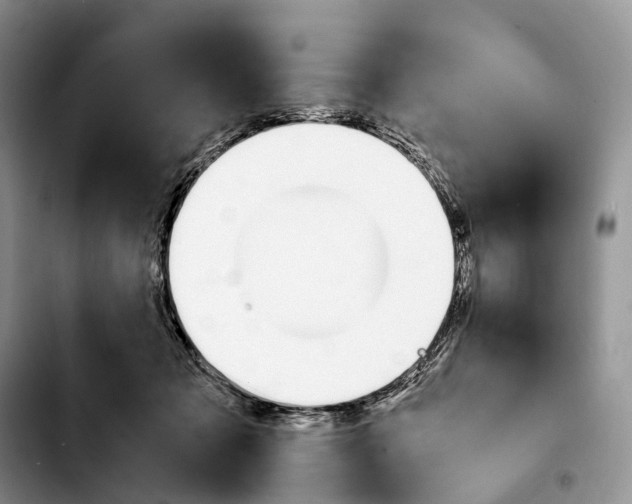 X0000103940317200810101422