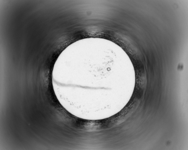 X0000103940319200810101422