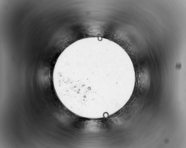 X0000103940320200810101422