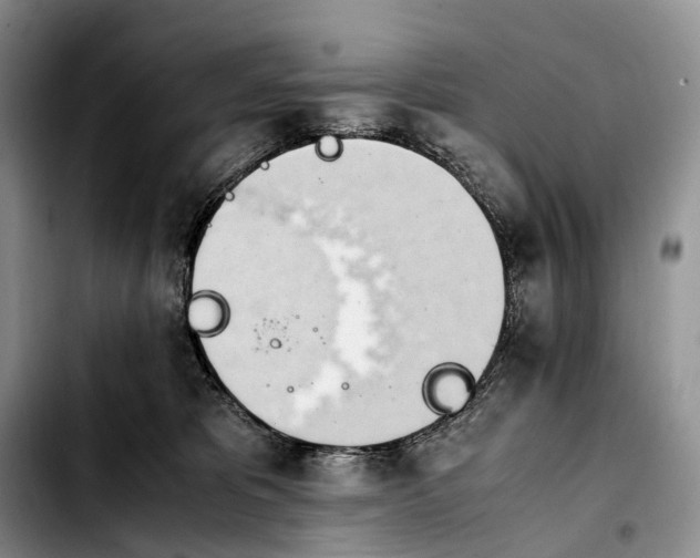 X0000103940325200810101422