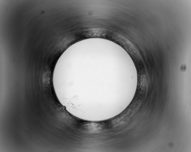 X0000103940326200810101422