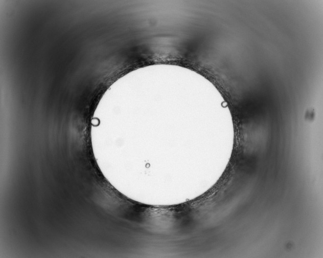 X0000103940327200810101422