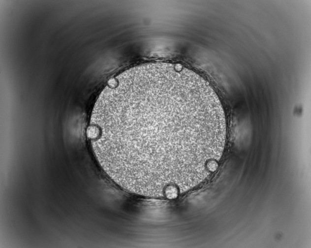 X0000103940328200810101422