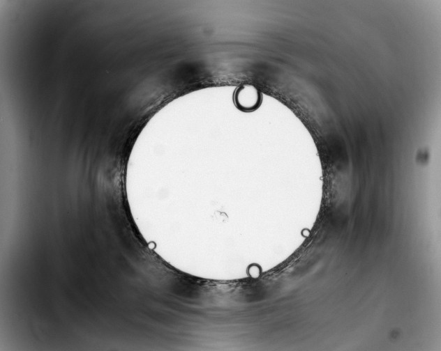 X0000103940329200810101422