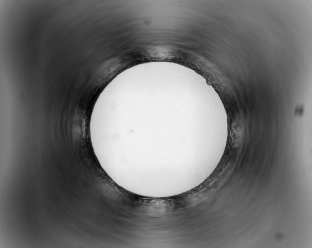 X0000103940330200810101421