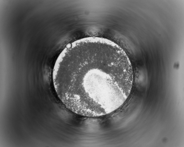 X0000103940332200810101421