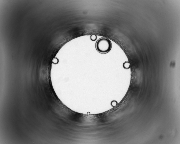 X0000103940333200810101421