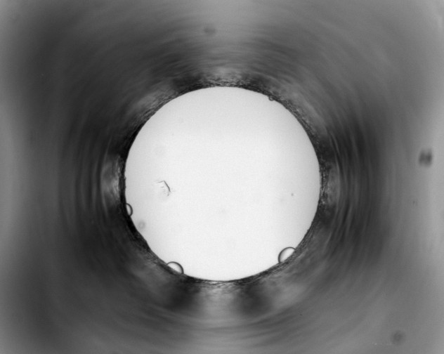 X0000103940334200810101421