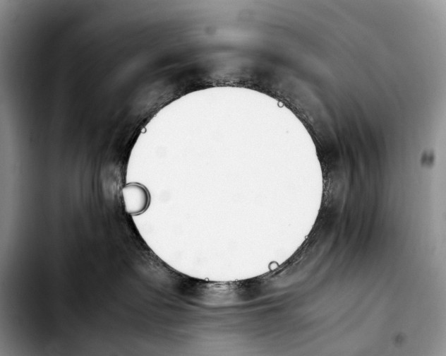 X0000103940335200810101421