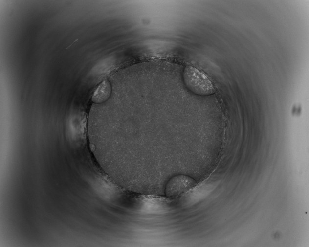 X0000103940336200810101421