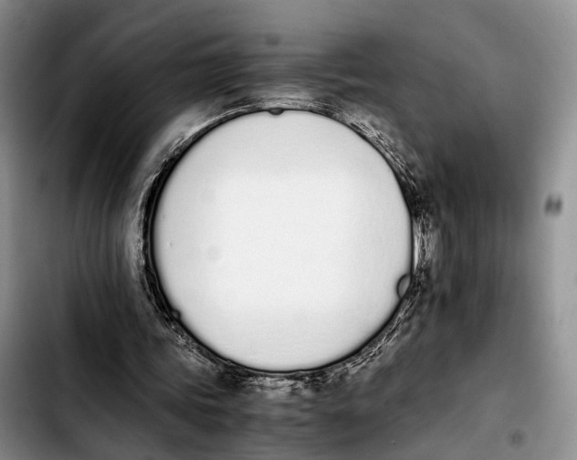 X0000103940339200810101421