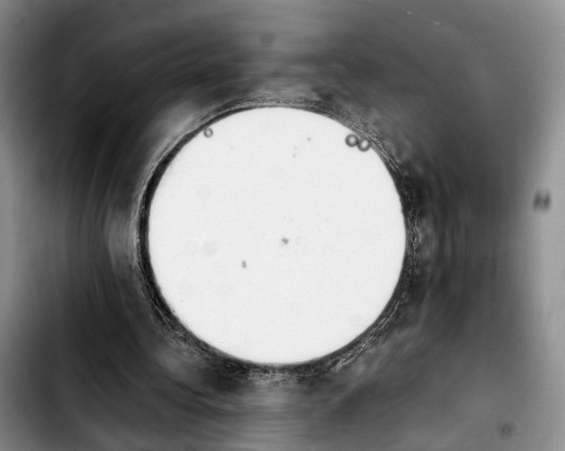 X0000103940340200810101421