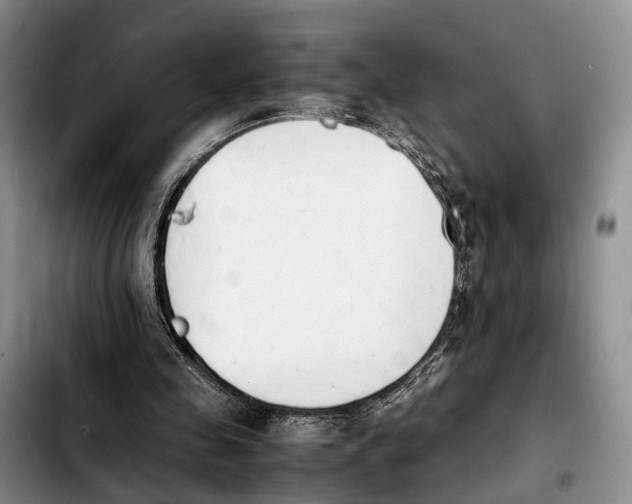 X0000103940341200810101421