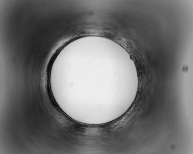 X0000103940342200810101421