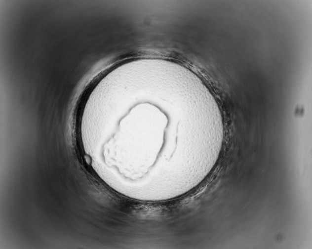 X0000103940343200810101421