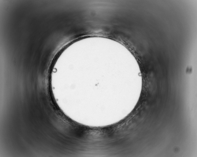 X0000103940344200810101421