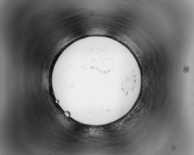 X0000103940345200810101421