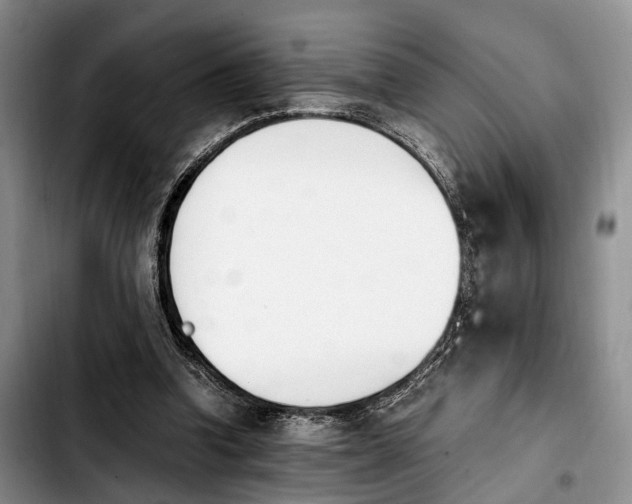 X0000103940346200810101421