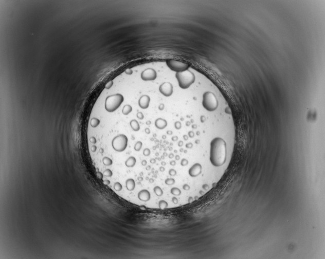 X0000103940347200810101421