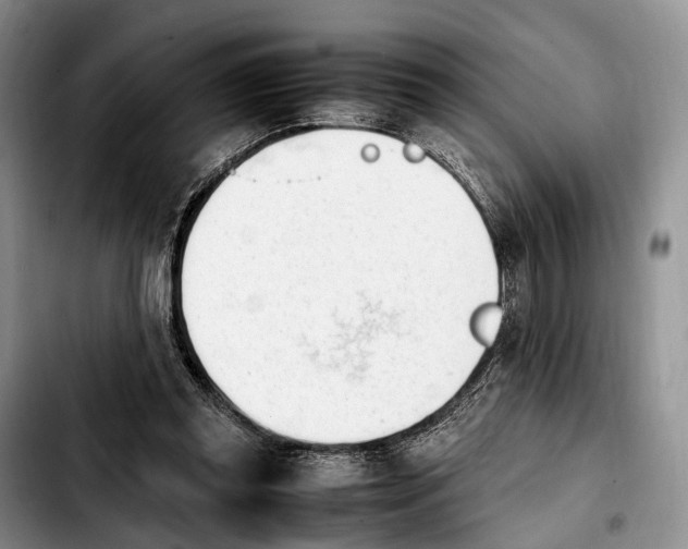 X0000103940349200810101421